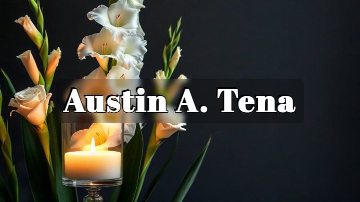 Austin A. Tena, Chicago, IL