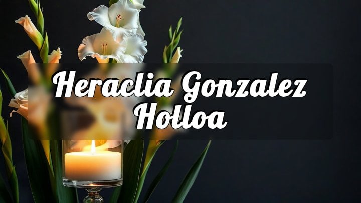 Heraclia Gonzalez Holloa, Chicago, IL
