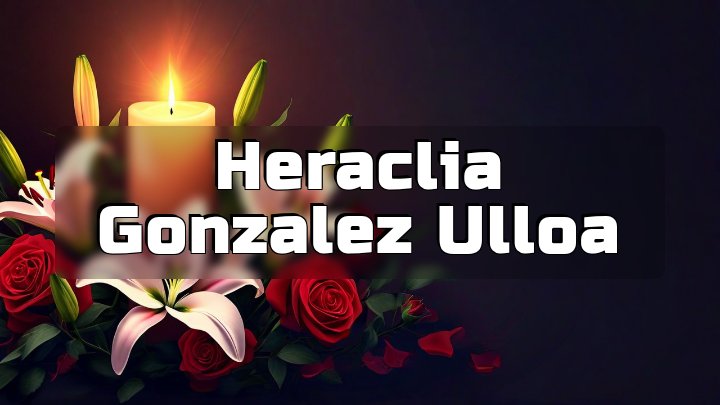 Heraclia Gonzalez Ulloa, Chicago, IL